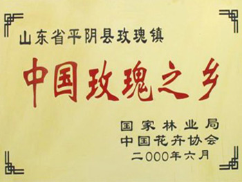 玫瑰之鄉(xiāng)