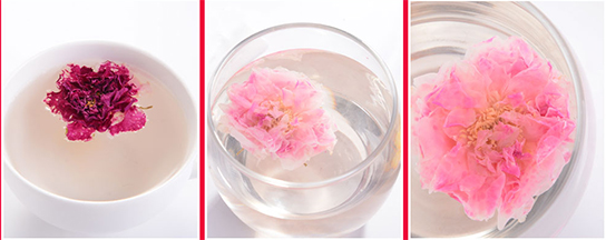 玫瑰花冠沖泡展示