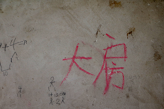 單純的夢想