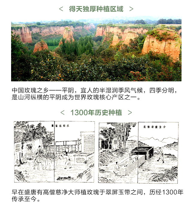 產(chǎn)品推廣_11