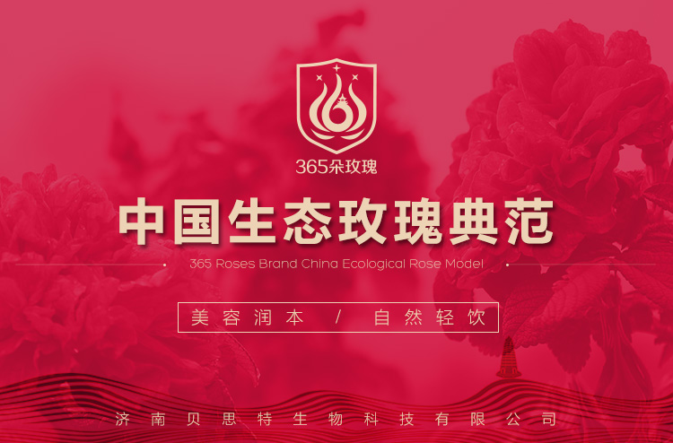 玫瑰苗_01