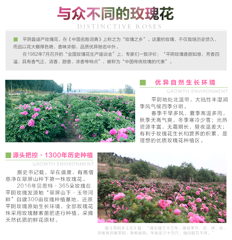 新花預(yù)售ok_04