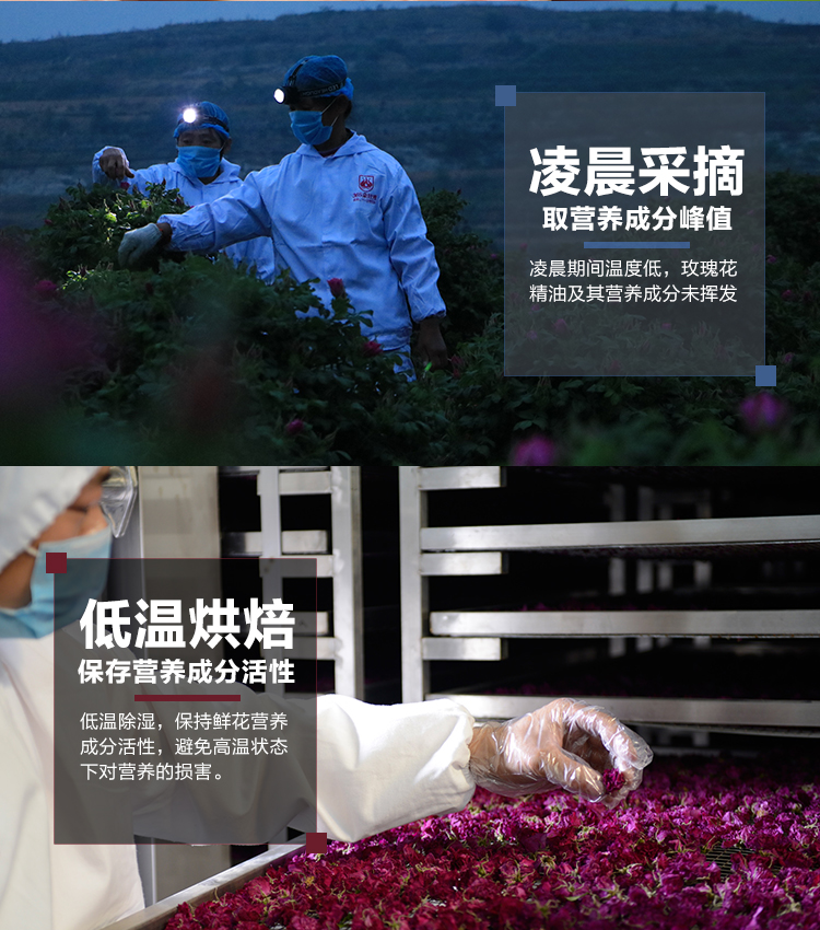 19花冠詳情-恢復(fù)的_14