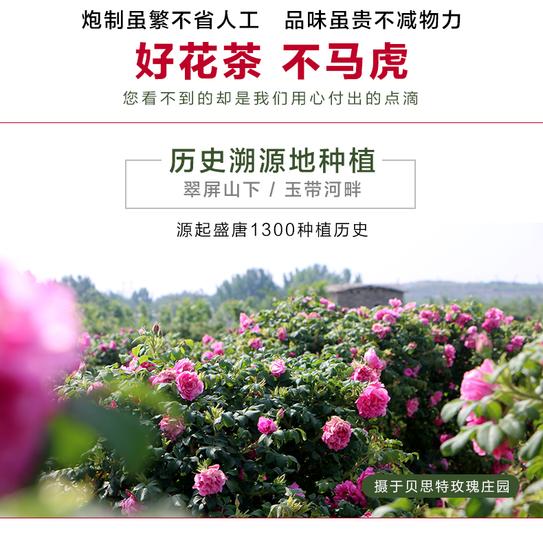 特級花蕾_14