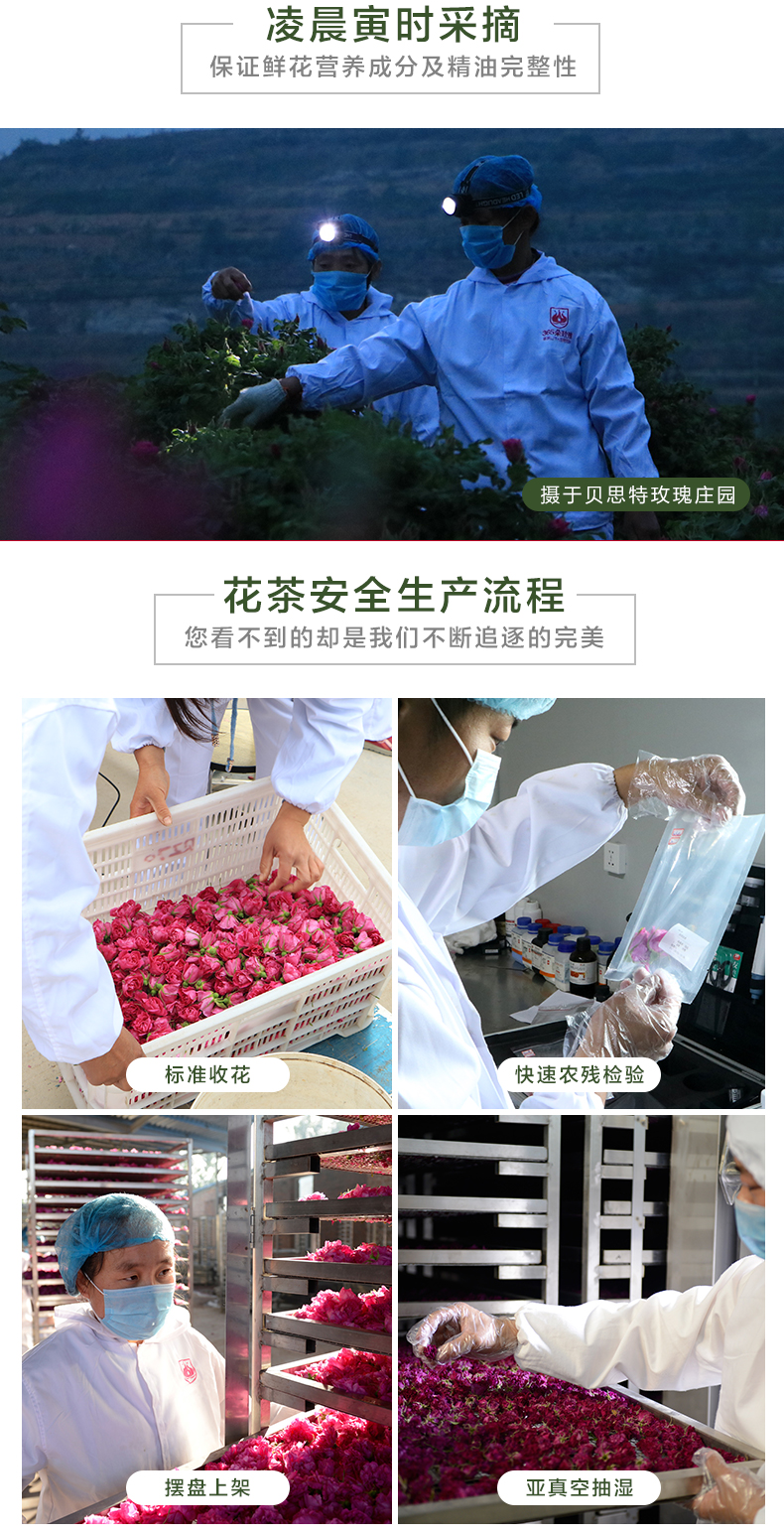 特級花蕾_16