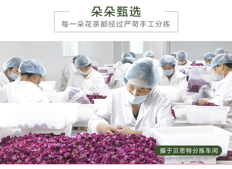 特級花蕾_17
