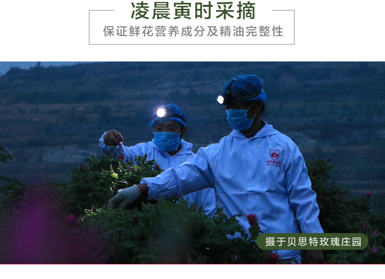 一級花蕾_13