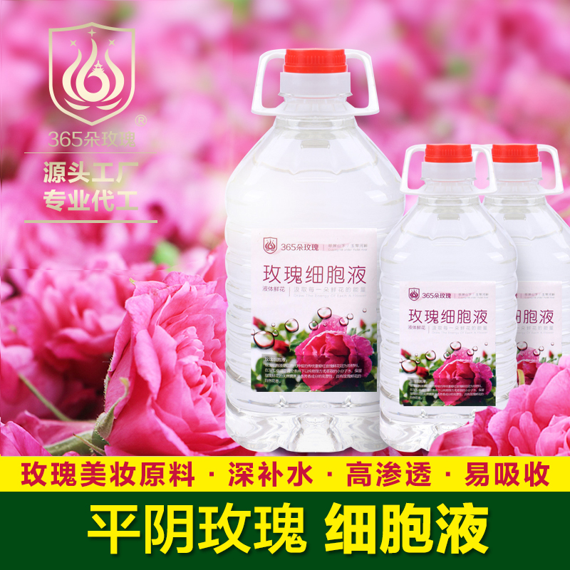 玫瑰細(xì)胞液